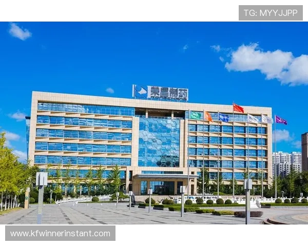 凯发体育集团网址查询常见问题解答帮助用户解决访问难题与安全疑虑